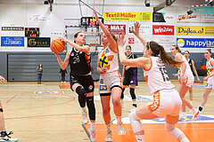 Basketball Damen Superliga 2024/25, Grunddurchgang 10.Runde BK Duchess Klosterneuburg vs. Vienna United


