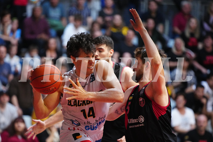 Basketball 2. Liga 2022/23, Finale Spiel 2, Guessing Blackbirds vs. Mistelbach Mustangs


