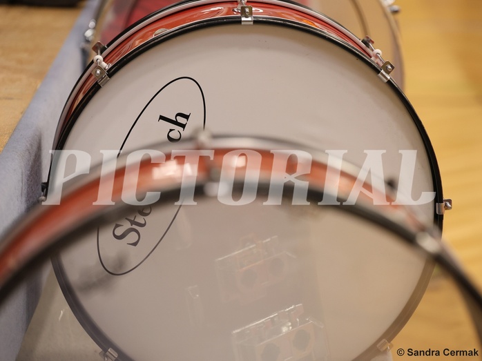 Basketball Zweite Liga 2024/25, Grunddurchgang 16.Runde Traiskirchen Lions NextGen vs. Vienna United