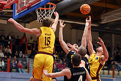 Basketball Zweite Liga 2024/25, Grunddurchgang 14.Runde Traiskirchen Lions NextGen vs. Mattersburg Rocks


