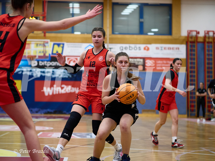 Basketball Superliga 2024/25, SLWU16 Traiskirchen Lionesses vs. BBC Nord Dragons


