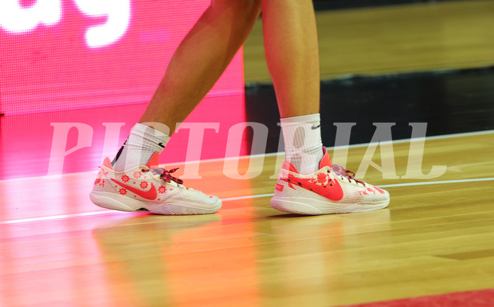 Basketball Superliga 2023/24, Gruunddurchgang 21.Runde BC Vienna vs. Oberwart Gunners