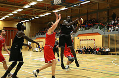 Basketball Zweite Liga 2019/20, Grunddurchgang 22.Runde Mistelbach Mustengs vs. Raiders Tirol


