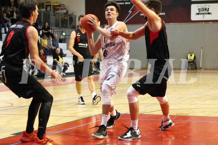 Basketball Zweite Liga 2021/22 Grunddurchgang 2.Runde  Jennersdorf Blackbirds vs Mistelbach Mustangs