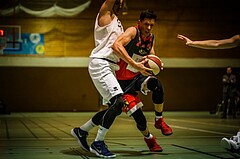 Basketball, 2.Bundesliga, Grunddurchgang 13.Runde, BBC Nord Dragonz, UBC St. Pölten, Martin Speiser (7)