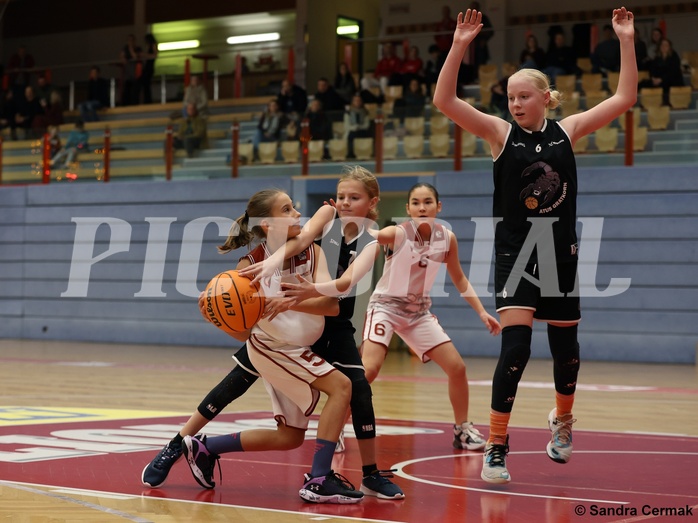 Basketball Superliga 2024/25, SLWU14 Traiskirchen Lionesses vs. ATUS Gratkorn Scorpions


