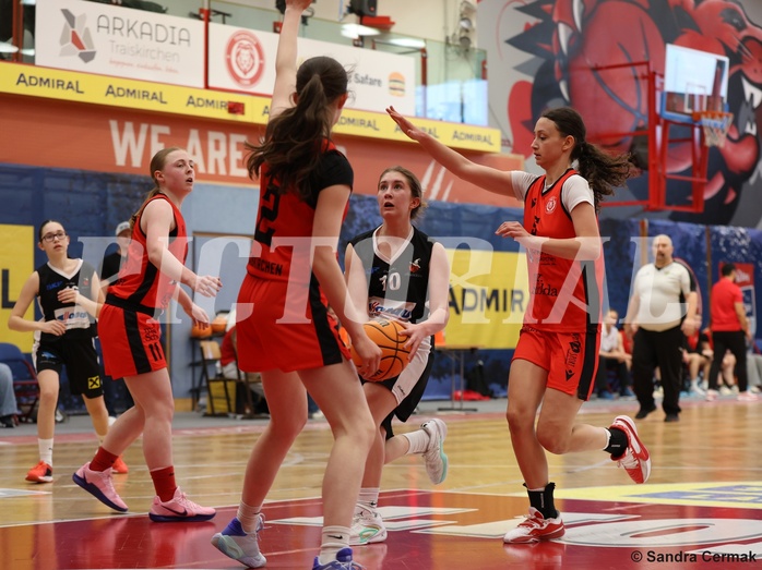 Basketball Superliga 2024/25, SLWU16 Traiskirchen Lionesses vs. DBK Steyrer Witch Cadets


