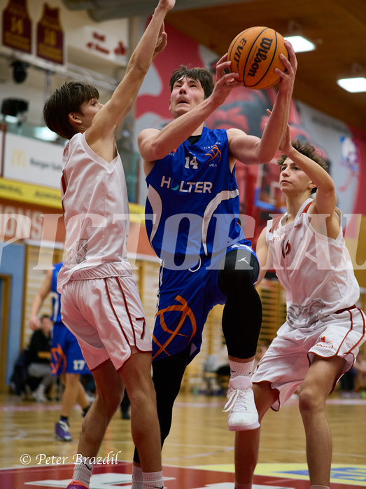 Basketball Superliga 2024/25, SLMU16 Traiskirchen Lionesses vs. FCN Baskets Wels


