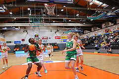 Basketball Damen Superliga 2023/24, Grunddurchgang Spiel 2 BK Duchess Klosterneuburg vs. UBI Graz


