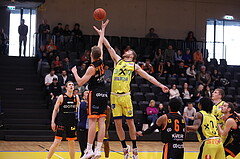 01.04.2023, Graz, Raiffeisen Sportpark Graz, Basketball Superliga 2022/23, 7. Qualifikationsrunde, UBSC Raiffeisen Graz vs. CITIES Panthers Fürstenfeld 