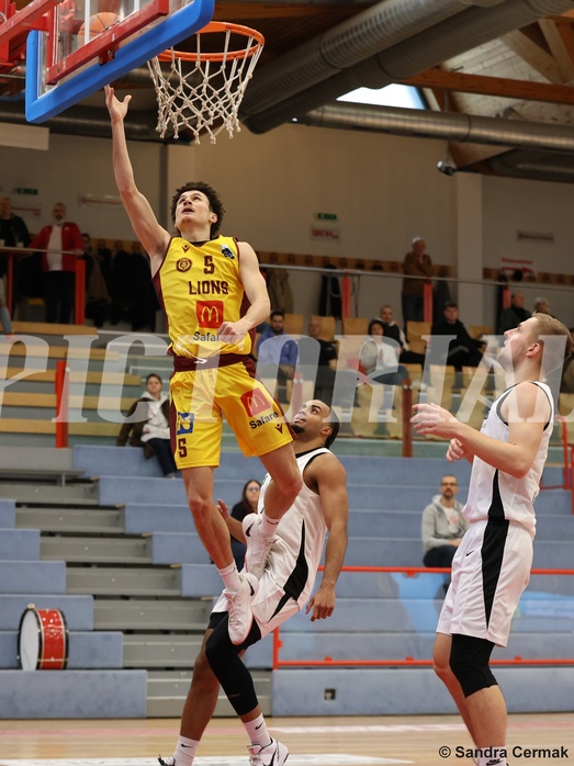 Basketball Zweite Liga 2024/25, Grunddurchgang 17.Runde Traiskirchen Lions NextGen vs. Raiders Tirol