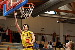 Basketball Zweite Liga 2024/25, Grunddurchgang 17.Runde Traiskirchen Lions NextGen vs. Raiders Tirol


