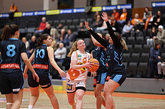 Basketball Damen Supercup 2024/25, 4.Runde BK Duchess Klosterneuburg vs. Vienna Timberwolves


