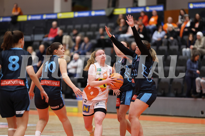 Basketball Damen Supercup 2024/25, 4.Runde BK Duchess Klosterneuburg vs. Vienna Timberwolves


