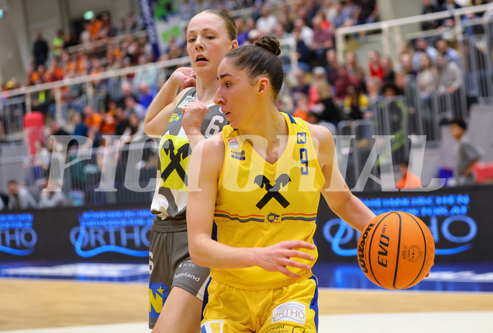 Basketball Austria Cup 2023/24, Finale SKN St. Pölten vs. Klosterneuburg Duchess



