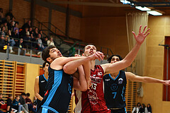 Basketball Zweite Liga 2024/25, Grunddurchgang 15.Runde Mistelbach Mustangs vs. Vienna Timberwolves


