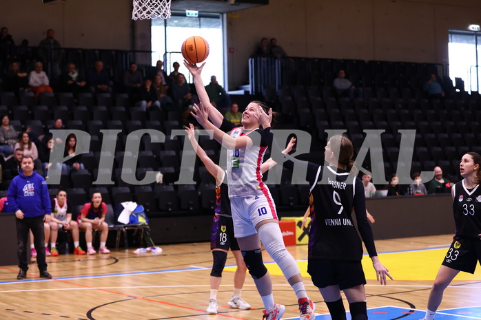 02.03.2025, Graz, Raiffeisen Sportpark, Basketball Damen Superliga 2024/25, Grunddurchgang, 14.Runde, UBSC-DBBC Graz - Vienna United,  