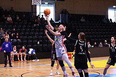 02.03.2025, Graz, Raiffeisen Sportpark, Basketball Damen Superliga 2024/25, Grunddurchgang, 14.Runde, UBSC-DBBC Graz - Vienna United,  