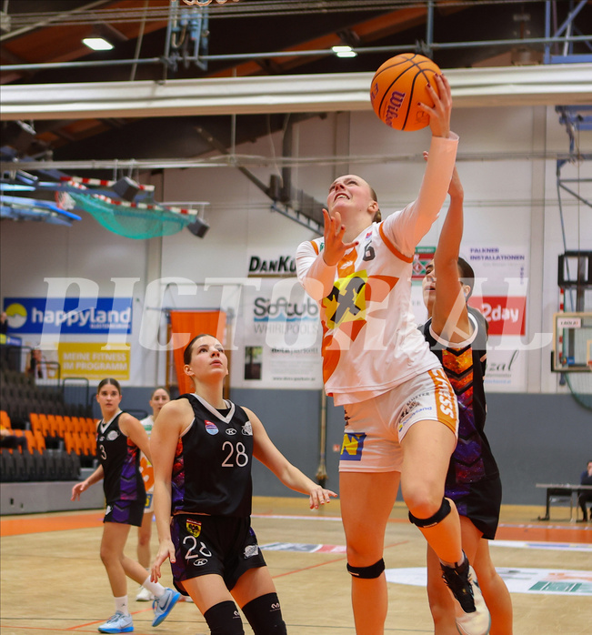 Basketball Damen Superliga 2024/25, Grunddurchgang 10.Runde BK Duchess Klosterneuburg vs. Vienna United


