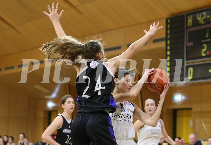 Basketball Austria Cup 2022/23, Viertelfinale Basket Flames vs. Vienna United


