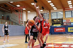 Basketball Superliga 2024/25, SLWU16 Traiskirchen Lionesses vs. DBK Steyrer Witch Cadets


