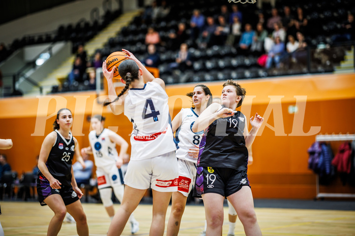 Basketball, Win2Day Basketball Damen Superliga 2023/24, Grunddurchgang 12.Runde, Vienna Timberwolves, Vienna United, Magdalena Schmidt (4), Aleksandra Novakovic (8), Theresa Stejskal (19)