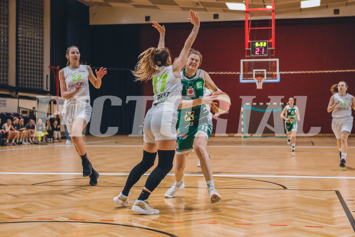 Basketball Basketball Superliga 2020/21, Halbfinale Spiel 2 Basket Flames vs. UBI Graz
