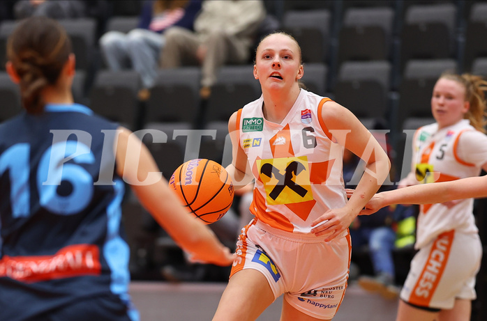 Basketball Damen Supercup 2024/25, 4.Runde BK Duchess Klosterneuburg vs. Vienna Timberwolves



