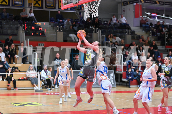 Basketball Superliga 2024/25, Semifinale Spiel 2, DBB Wels vs Duchess Klosterneuburg,
Basketball Superliga 2024/25, Semifinale Spiel 2, DBB Wels vs Duchess Klosterneuburg,