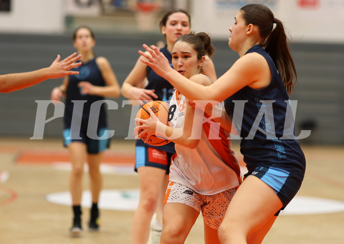 Basketball Superliga SLMU19 Basket Duchess vs. Vienna Timberwolves


