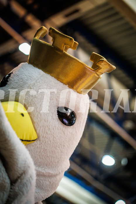 Basketball, Basketball Austria Cup 2022/23, Halbfinale 1, Oberwart Gunners, Gmunden Swans, #mascot