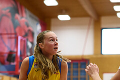 Basketball Superliga 2024/25, SLWU16 Traiskirchen Lionesses vs. UBBC Herzogenburg


