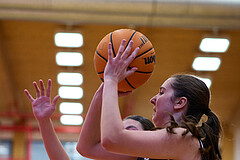 Basketball Superliga 2024/25, SLMU16 Traiskirchen Lionesses vs. VKL Vikings Kammer



