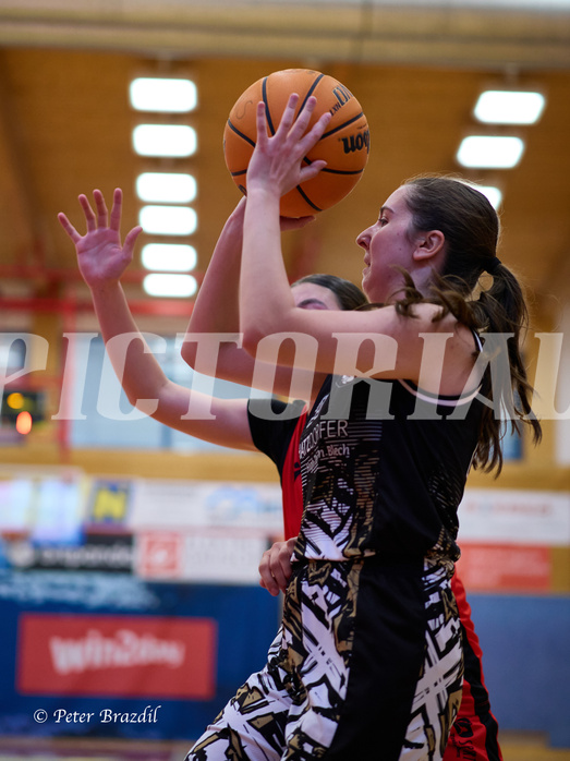 Basketball Superliga 2024/25, SLMU16 Traiskirchen Lionesses vs. VKL Vikings Kammer


