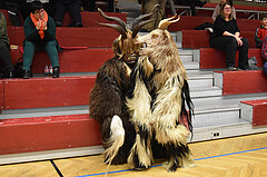 Basketball Superliga 2019/20, Grunddurchgang 11. Runde Flyers Wels vs. BC Hallman Vienna