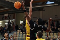 Basketball Zweite Liga 2024/25, Grunddurchgang 12.Runde Traiskirchen Lions NextGen vs. Deutsch Wagram Alligators