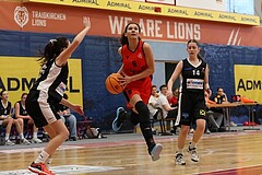 Basketball Superliga 2024/25, SLWU16 Traiskirchen Lionesses vs. DBK Steyrer Witch Cadets


