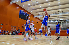 24.11.2024 Österreichischer Basketballverband 2024/25, SLMU16, Vienna Timberwolves vs. ATSE Graz
