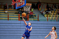 Basketball Superliga 2024/25, SLMU16 Traiskirchen Lionesses vs. FCN Baskets Wels


