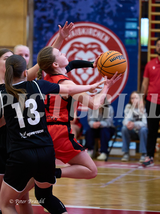Basketball Superliga 2024/25, SLWU14 Traiskirchen Lionesses vs. Gratkorn Scorpions



