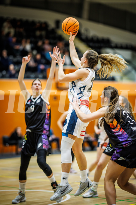 Basketball, Win2Day Basketball Damen Superliga 2023/24, Grunddurchgang 12.Runde, Vienna Timberwolves, Vienna United, Petra Pammer (21)