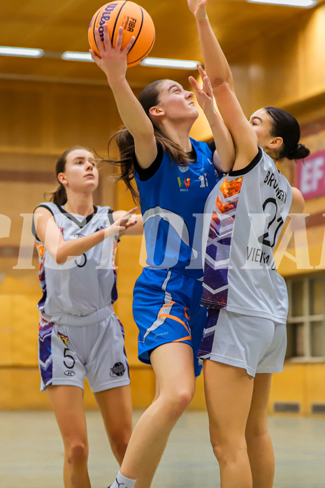 Basketbal lAustria Cup 2024/25, Viertelfinale Vienna United vs. DBB Wels


