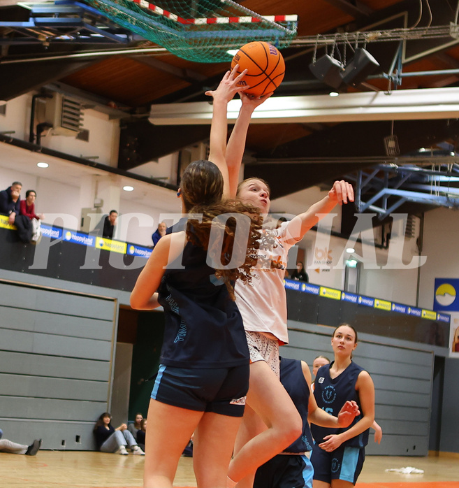 Basketball Superliga SLMU19 Basket Duchess vs. Vienna Timberwolves


