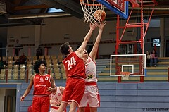 Basketball Superliga 2024/25, SLMU19 Traiskirchen Lions Academy vs. SG Salzkammergut


