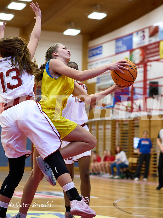 Basketball Superliga 2024/25, SLWU16 Traiskirchen Lionesses vs. UBBC Herzogenburg


