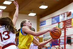 Basketball Superliga 2024/25, SLWU16 Traiskirchen Lionesses vs. UBBC Herzogenburg


