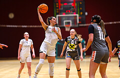 Basketball Damen Superliga 2023/24, Grunddurchgang, 13 Runde Basket Flames vs. Duchess Klosterneuburg


