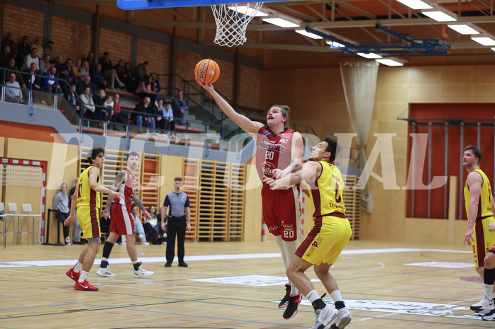 Basketball Zweite Liga 2024/25, Grunddurchgang 9.Runde Mistelbach Mustangs vs. Trasikirchen NextGen