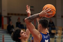 Basketball Zweite Liga 2024/25, Grunddurchgang 8.Runde Traiskirchen Lions NextGen vs. BBU Salzburg


