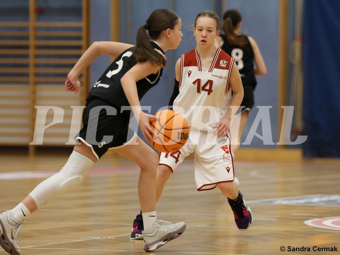 Basketball Superliga 2024/25, SLWU14 Traiskirchen Lionesses vs. ATUS Gratkorn Scorpions



